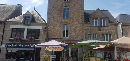 Grand appartement avec petit restaurant dans joli village