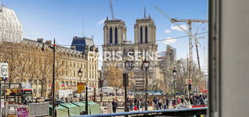 Paris Seine - Notre Dame