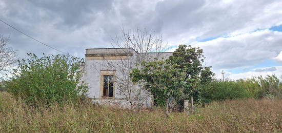 Casale/cascina in vendita in strada Provinciale 198 s.n.c