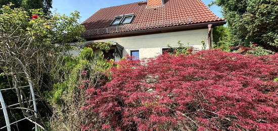 Einfamilienhaus mit Garage und großem Garten, in schöner Siedlungslage von Penig (nahe Chemnitz)