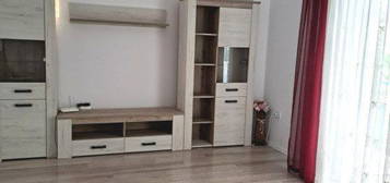 Apartament 2 camere in Turnisor