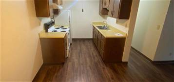 201 1st Ave Unit 11, Baraboo, WI 53913