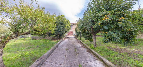 VILLA SINGOLA A FRASCATI