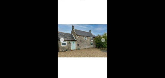 Detached house to rent in The Lane, Saltburn By The Sea TS13