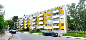 Prodej bytu 3+1 59 m² (Jednopodlažní)