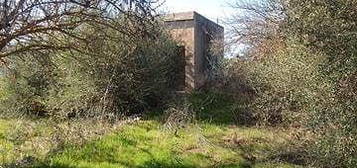 Terreno agricolo edificabile più casa rurale