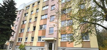 Helle 3-Zimmer-Wohnung mit Potenzial in Dresden Leubnitz-Neuostra Eigennutzer oder Kapitalanleger