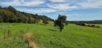 Großzügiges Wohnhaus I Hallen I 11.790 m² Wiese I Optional weitere Flächen