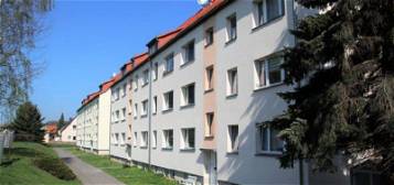 Nachmieter für 4 Zi. Wohnung in Waldheim-Rudelsdorf gesucht