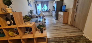 Apartament 2 camere, zona Baciu