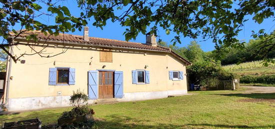 Rare maison de campagne fin de chemin vue pyrenees secteur aire sur adour