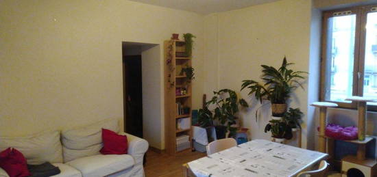 Appart. - 1 chambre et grand salon- rue d'auxonne