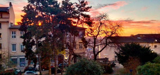 Vaste maison de ville à la Croix Rousse