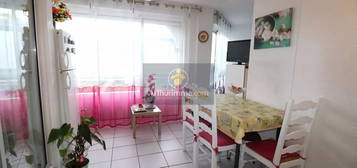 Appartement 3 pièces 46 m²