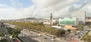 &#xC1;tico en Sant Andreu