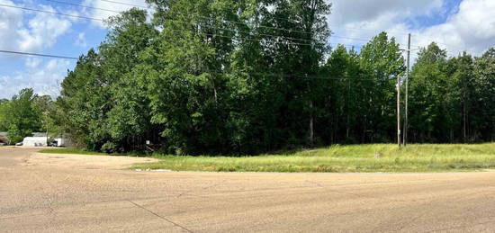 LOT 10 Hwy 24, Centreville, MS 39631