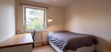 Room to rent in Lovell Road, Cambridge CB4