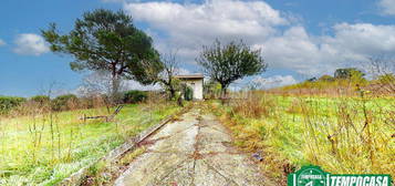 CASETTA IMMERSA NEL VERDE CON TERRAZZO PANORAMICO!