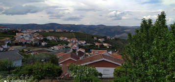 Casa no Douro com terreno com viabilidade para nova construção