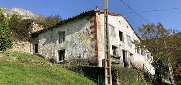 Casa en Peñamellera Alta