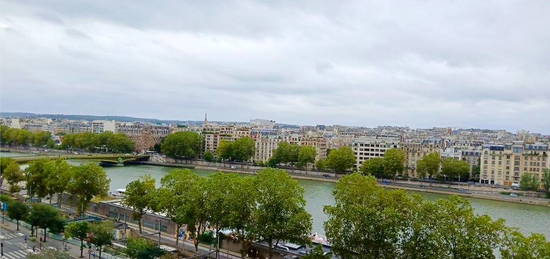 Vue exceptionnelle ! Appartement lumineux de 4 pièces avec vue sur Seine - Métro Javel - Quartier Beaugrenelle /Quai André Citroën, Paris 15ème