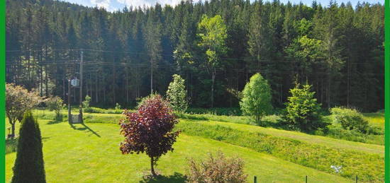 TRAUMHAFTE | WOHNUNG | LEBEN IM EINKLANG DER NATUR | KÄRNTNER NOCKBERGE/SIRNITZ…