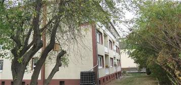 4-Zimmer Wohnung in Hattersheim-Okriftel