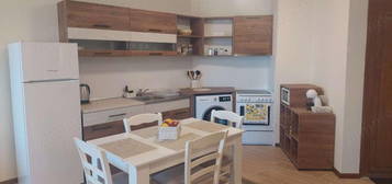 Apartament cu o camera in zona Odobescu