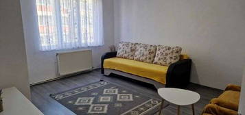 Inchiriez apartament, 2 camere, decomandat, Etaj 2, Str. Olteniei