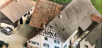 Bauernhaus im Grünen mit ausbaufähiger Scheune