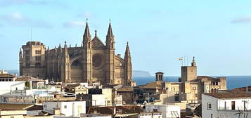 Palma