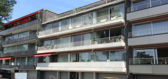 Toplage Rheinallee + renovierte Wohnung mit Gartenblick