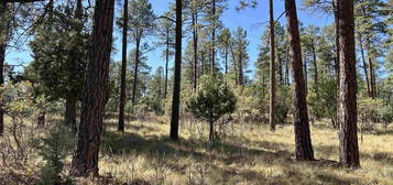 Homewood Dr, Timberon, NM 88350