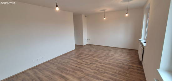 Pronájem bytu 1+kk 38 m² (Jednopodlažní)