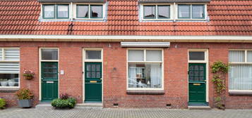 Tulpstraat 19