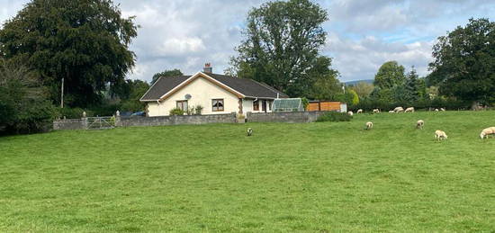 3 bedroom smallholding for sale