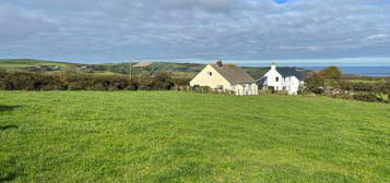 4 bedroom smallholding for sale