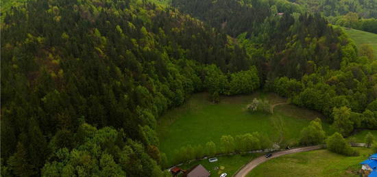 LIVE!Refugiu in inima naturii:Cabana sub aripa padurii si cu acces la