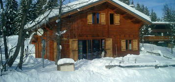 Chalet 140m² - 15 pers. Au pied des pistes + sauna