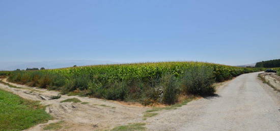 Finca rústica en venta en Belicena