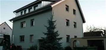 Gepflegte 3-Raum-EG-Wohnung mit Terasse und Garten in Sinsheim