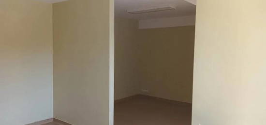 Apartament 4 camere Dorobanti - Hatmanul Arbore, Perla