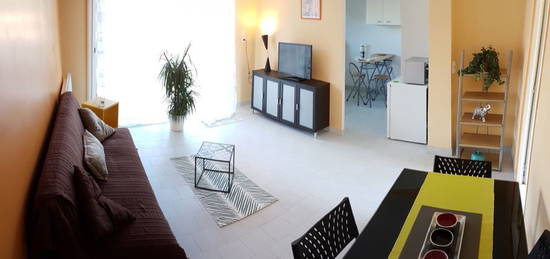 Appartement t2 meuble - mauguio