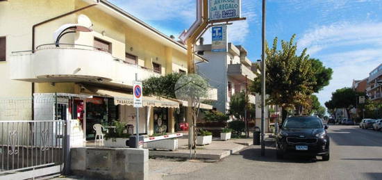 Bilocale via Giuseppe Mazzini 117, Centro, Alba Adriatica