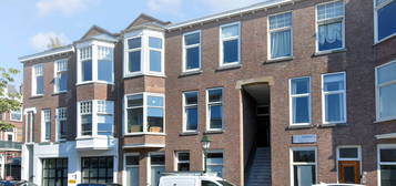 Johan van Hoornstraat 33