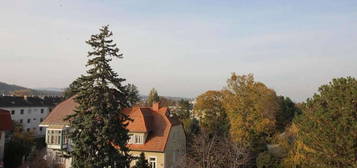 Aussicht mit 2 Zimmer Wohnung inkl. Dachterrasse