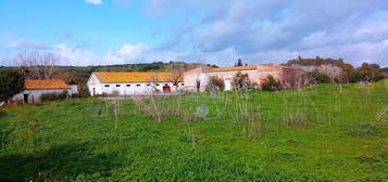 Finca rústica en venta en Pasada Honda, 13, San Roque Pueblo