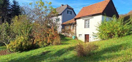 Charmantes Haus mit Nebengebäude für Gartenliebhaber!