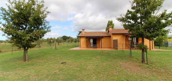 Casale/cascina in vendita a San Pietro in Palazzi-Collemezzano-Buca del Gatto