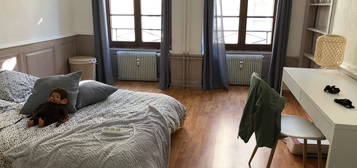 Appartement à louer Strasbourg